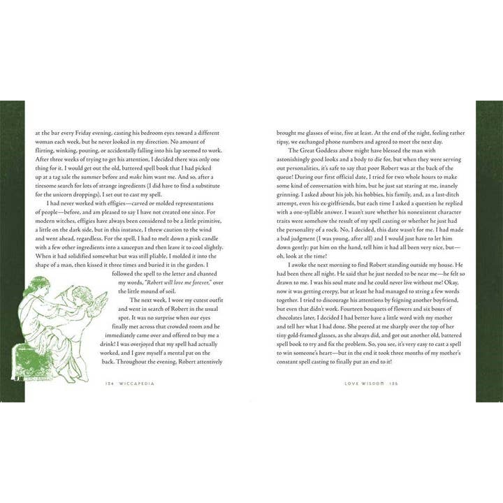 Hachette Book Group - Wholesale Reference Book - Wiccapedia by Shawn Robbins8