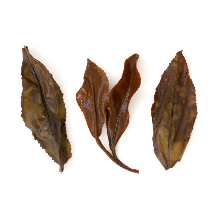 Emballage de vente au détail de beauté coréenne 30g pour la vente par DADOTEA