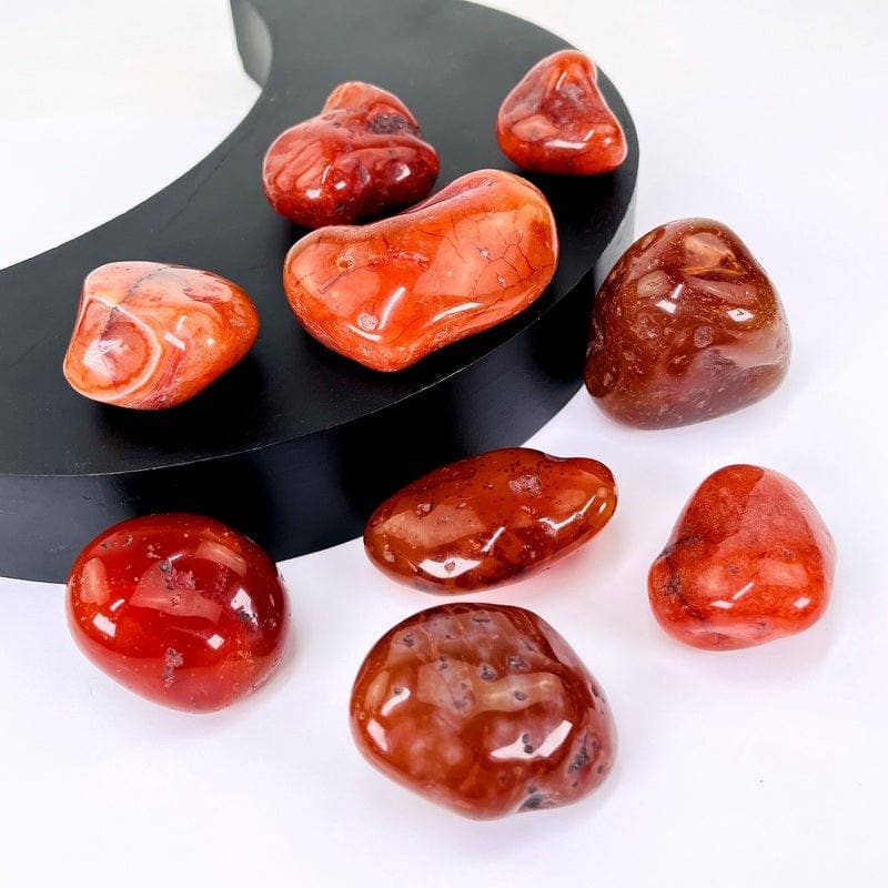 Rock Paradise - Wholesale Spiritual Stone/Crystal - Carnelian Crystal Tumbled Stones - XLarge Size - Choose 1,31