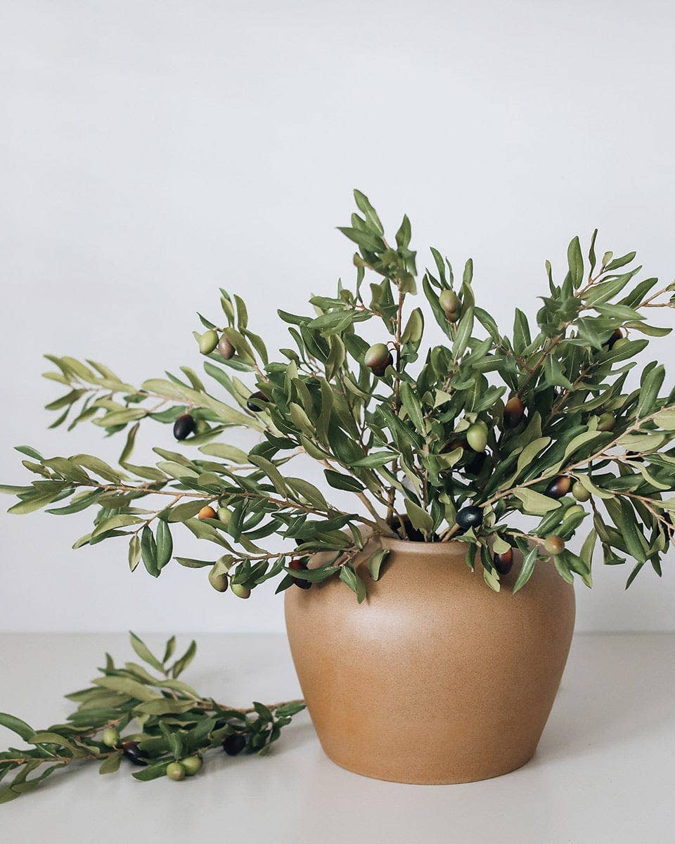 Prestige Botanicals - Wholesale Artificial Plant - Olive Leaf Branch 33"1