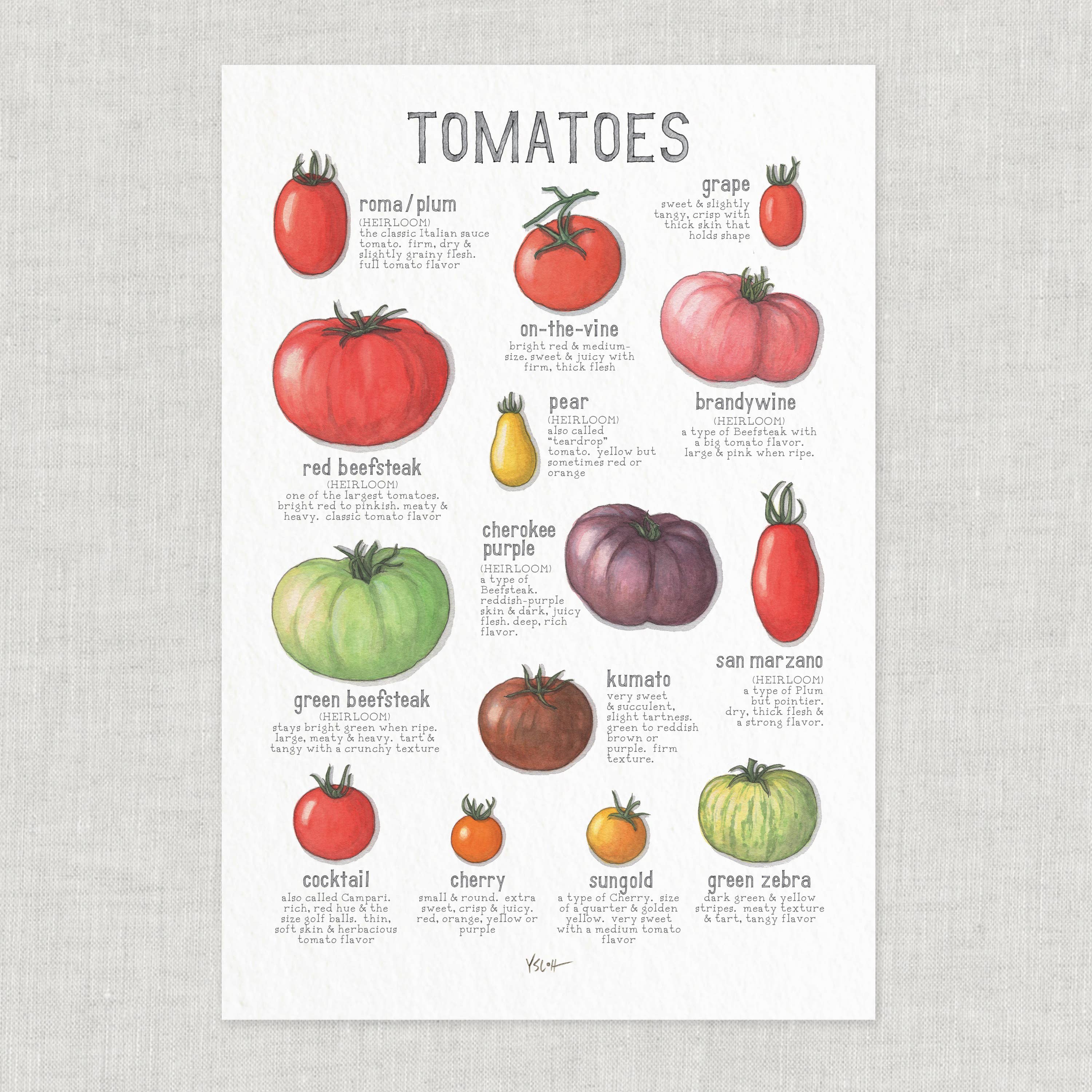 Yeesan Loh - Wholesale Poster - Poster / Vegetables . Tomatoes2