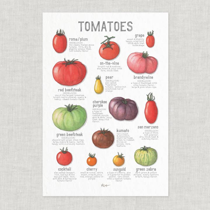 Yeesan Loh - Wholesale Poster - Poster / Vegetables . Tomatoes2