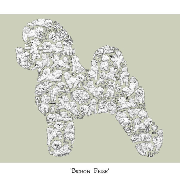 Bichon Frise für den Großhandel von Louise Tate Illustration