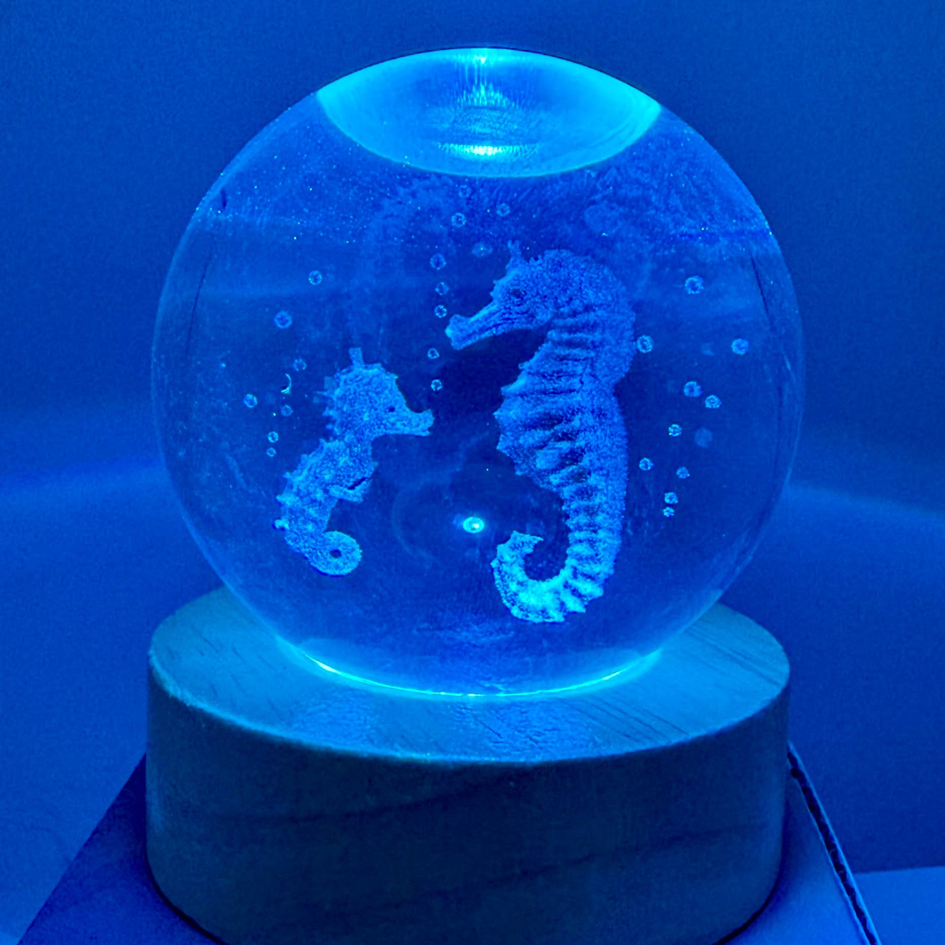 29 Tonight - Wholesale Decorative Tabletop Object - LIGHT-UP 3D 60mm Laser etched glass  wood base SEA HORSE2