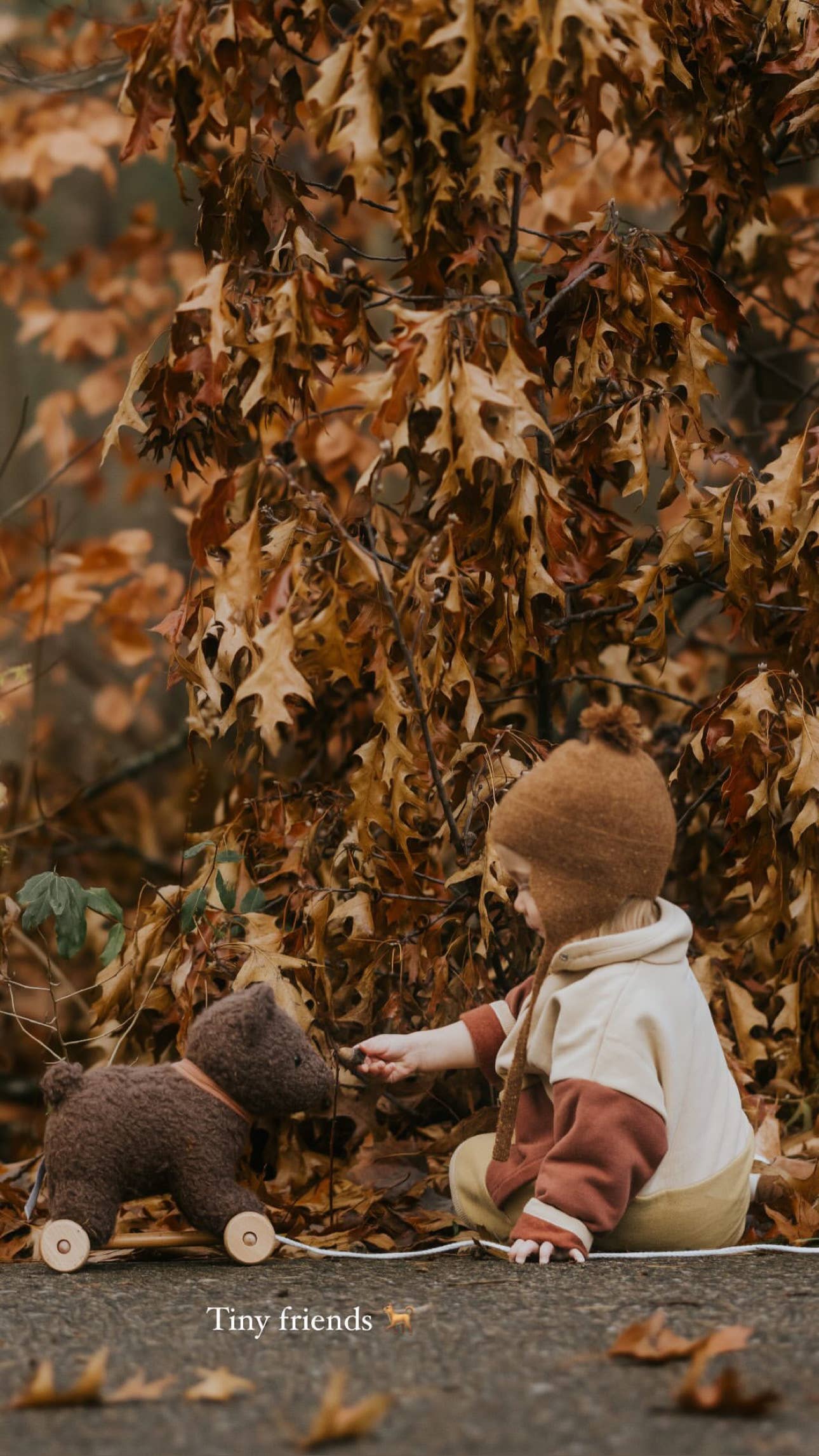 Egmont - Wholesale Stuffed/Plush Toy - Kids & Baby - Pull-Along Raoul11