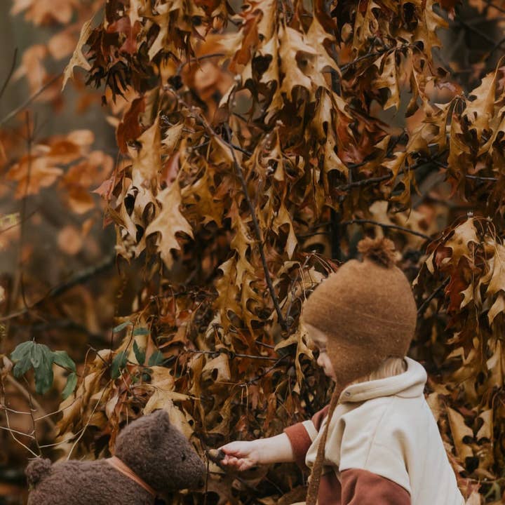 Egmont - Wholesale Stuffed/Plush Toy - Kids & Baby - Pull-Along Raoul11