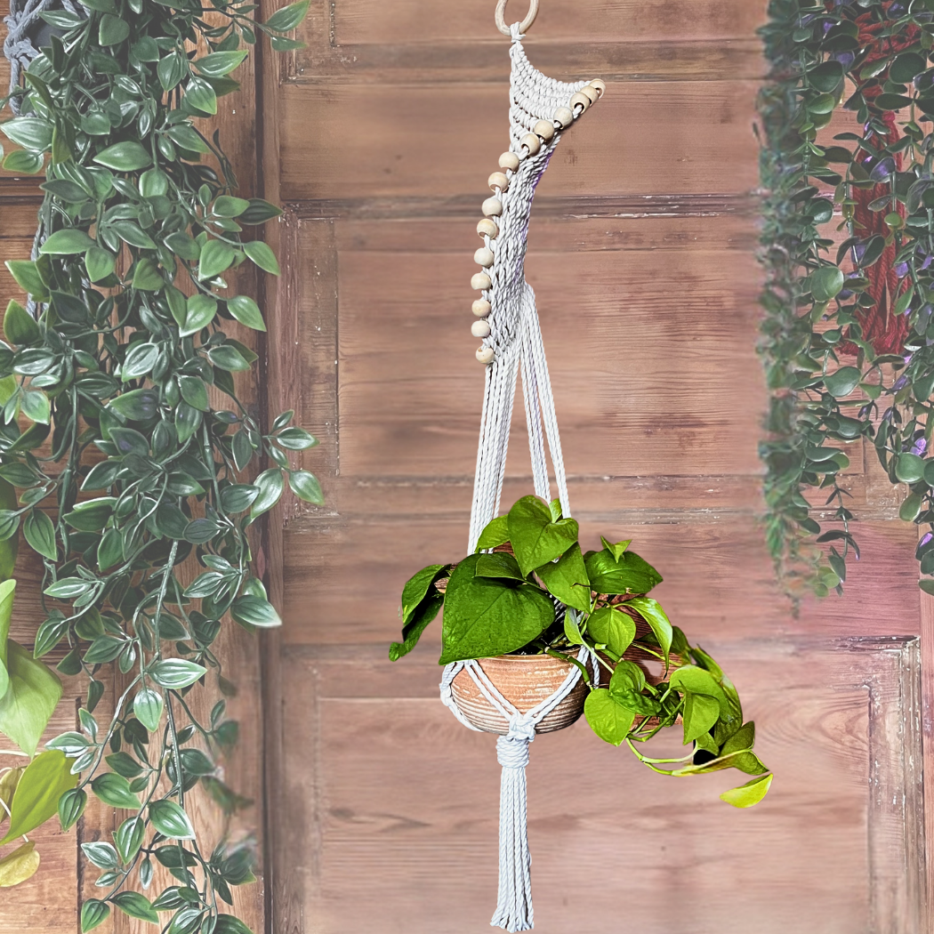 The PlantOutfitter - Wholesale Hanging Planter - Spiral Macrame Plant Hanger2