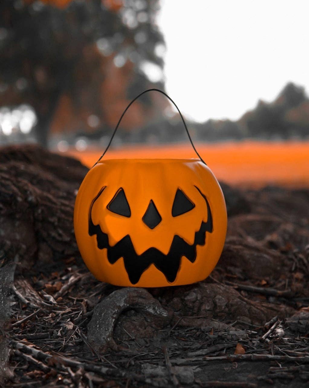 Lively Ghosts - Vendita all'ingrosso Secchi/Secchielli - Secchio per zucca Orange Haunted Hallows