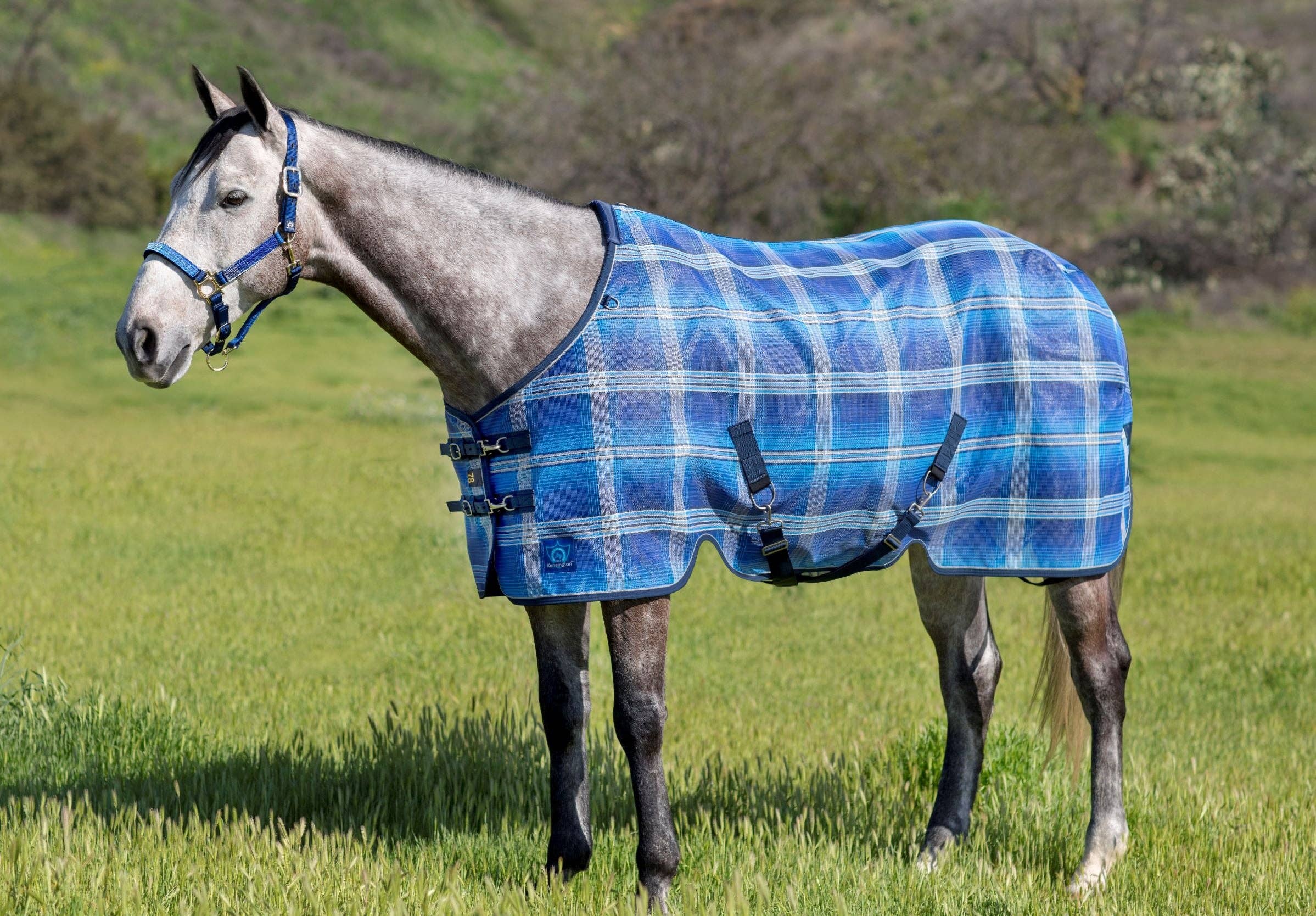 Kensington - Wholesale Horseback Riding Gear - 73% UV Horse Protective Fly Sheet SureFit® Designed for an ideal Fit5