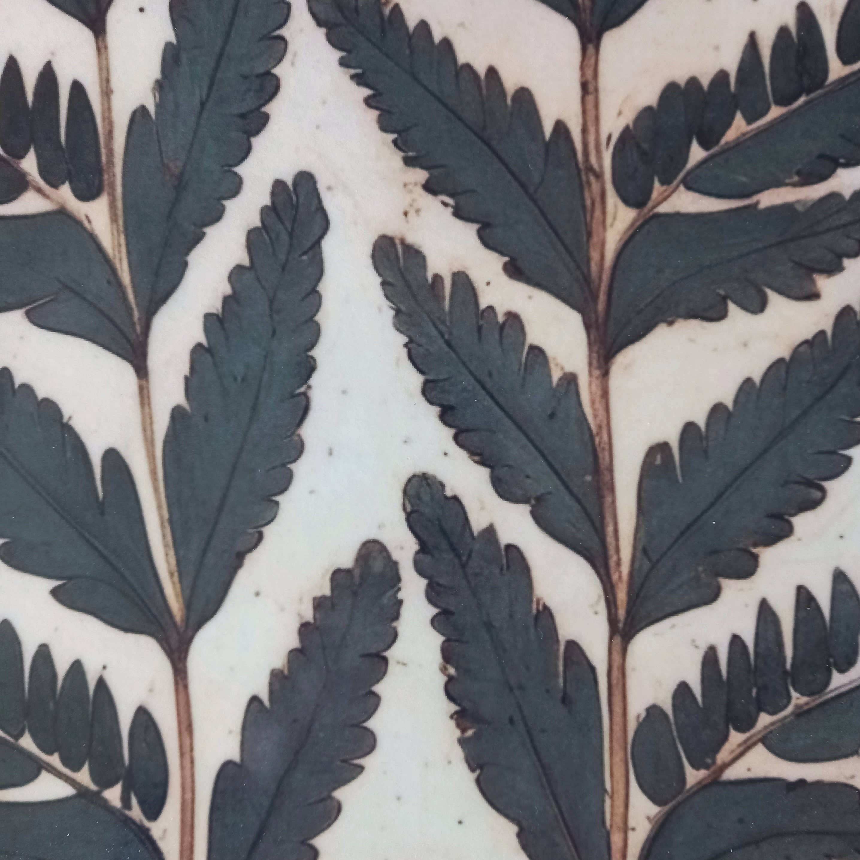 Odalisque Paris - Wholesale Decorative Tray - Rectangular tray Ferns1