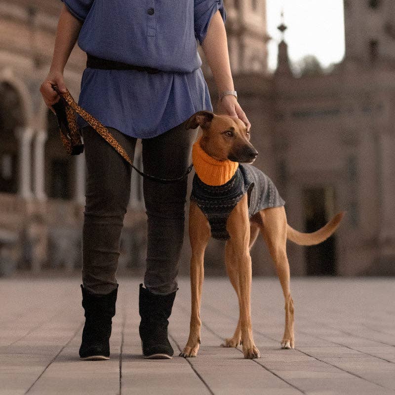 candyPet - Wholesale Pet Sweater - Dog - Acrylic Wool Jersey GALGO - ETHNIC2