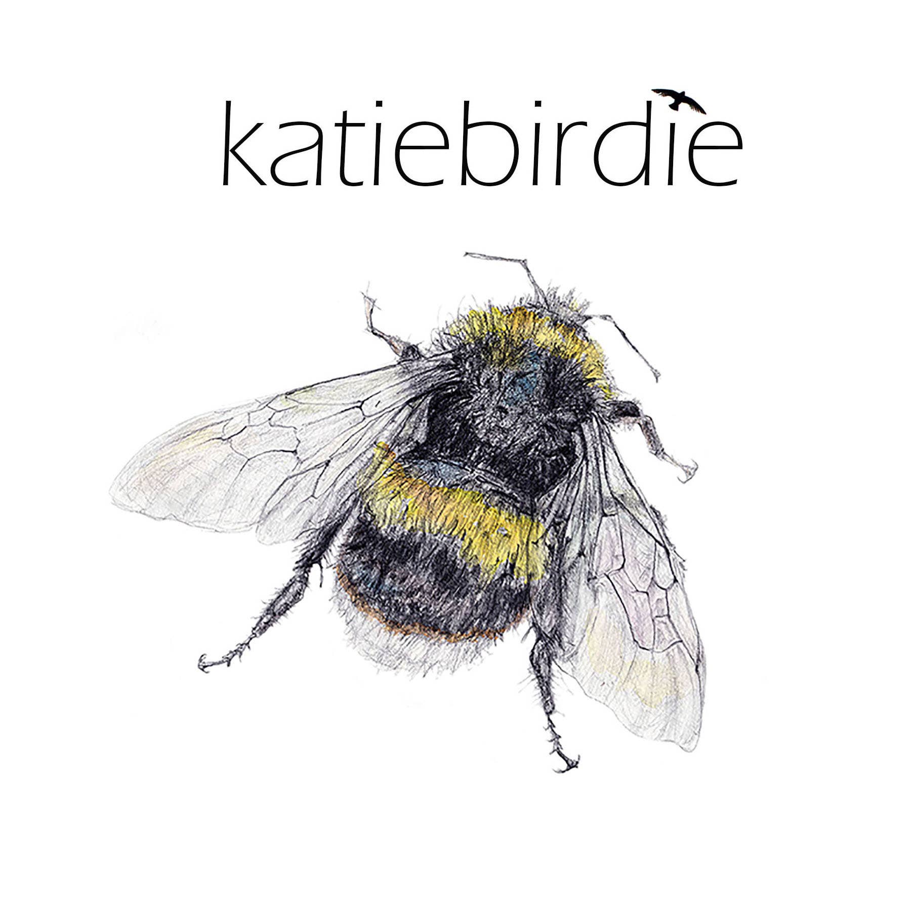 Wholsale libelle wenskaart voor je winkel - Faire, image size:1800x1800