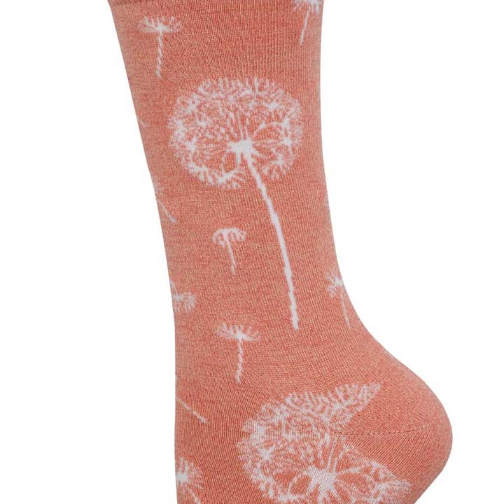 Mælkebøtte Drømme 6 Pakke for engroshandel hos Socksmith Europe