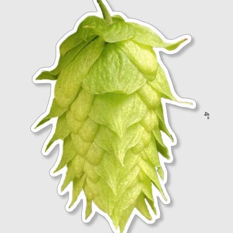 Stick Outside - Wholesale Sticker - Oregon Hop Sticker1