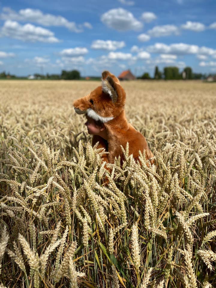 WILD & SOFT - Wholesale Costume - Kids - Kids Costume Fox3