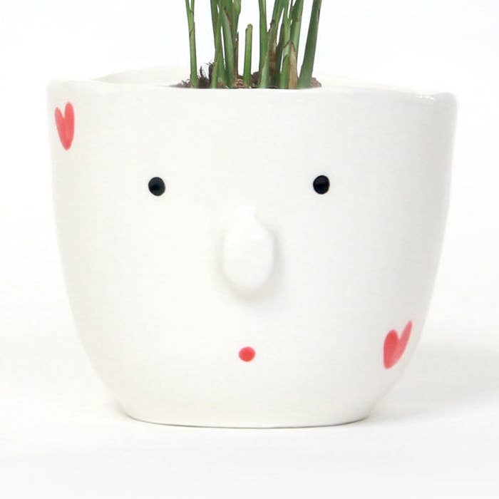 KÆRLIGHEDENS ANSIGTSKRUKE for engroshandel hos Bouclez-La