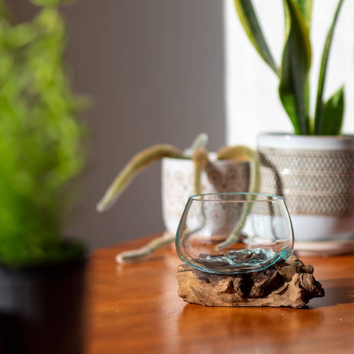 Cohasset Gifts - Wholesale Terrarium - 5" Open Mouth Molten Glass Terrarium1