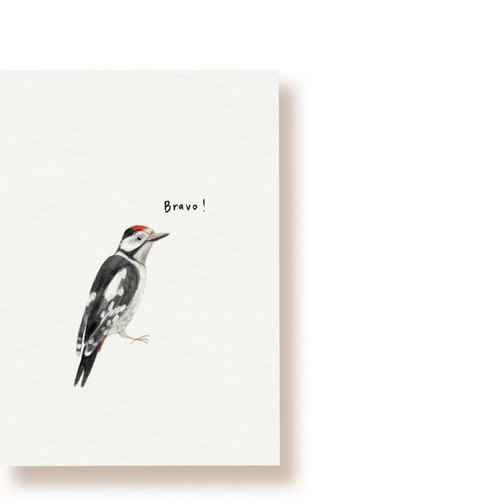 tucán y limón - Wholesale Postcard - Bravo Woodpecker! | Postcard