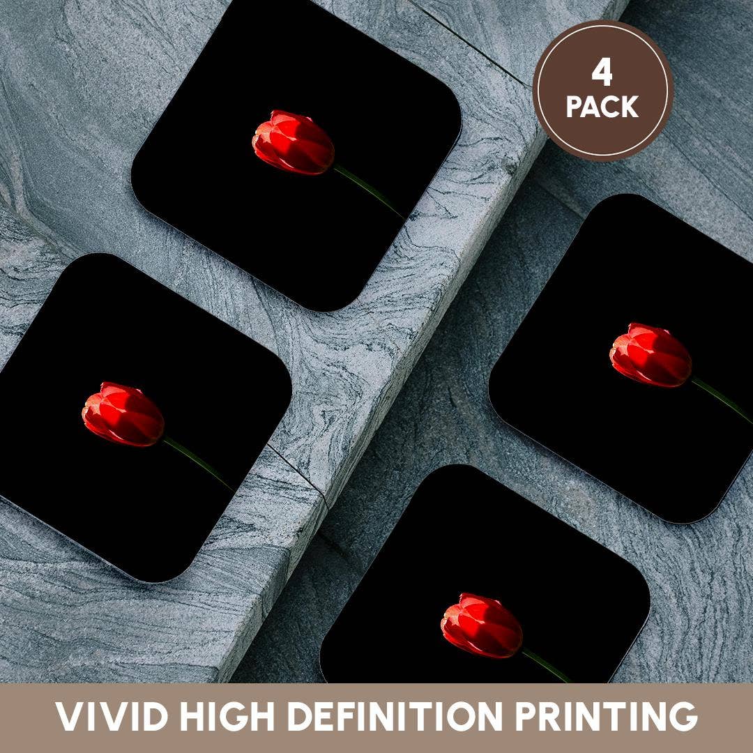 3dRose - Wholesale Coasters - 3dRose, Sunlit red tulip, black background. Minimalist composition, Coaster12