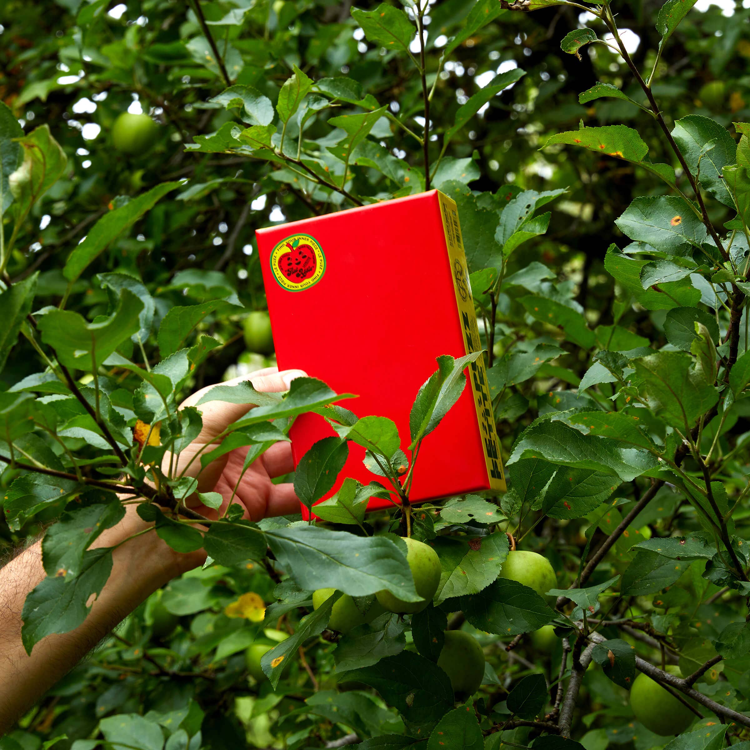 Le Puzz - Vente Puzzle – adulte - Puzzle miniature 81 pièces rouge uni « Pomme plate »7