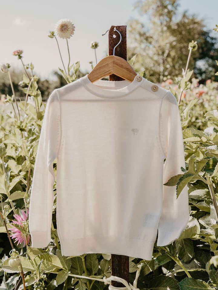 Merino Essential Extra Fine Merino Wool Jumper for wholesale on Faire0