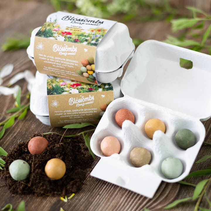 Blossombs - Wholesale Plant Seeds - Blossombs Display with 18 Egg Cartons – Sustainable Gifts2