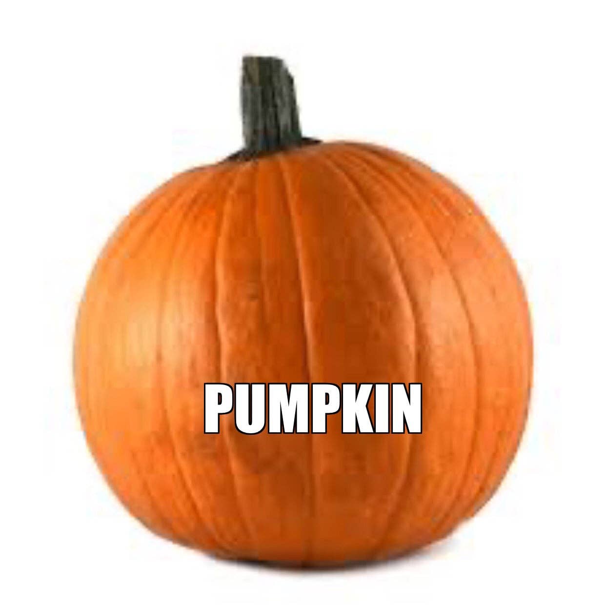 Space-Candy.Shop - Wholesale Suikerspin - Strawberry Classic Cotton Candy, kuipje van 32 oz.7