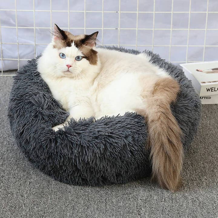 PAWPAWwholesale - Wholesale Pet Bed - Cat/Dog - Fluffy Donut Cat Bed – Plush & Cozy Pet Cushion_CWMM527943