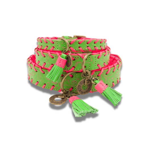 Dog with a Mission - Wholesale Pet Collar - Dog - GEORGIA dog collar