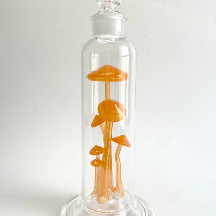 Sage Studios - Wholesale Decorative Tabletop Object - Specimen Bottle