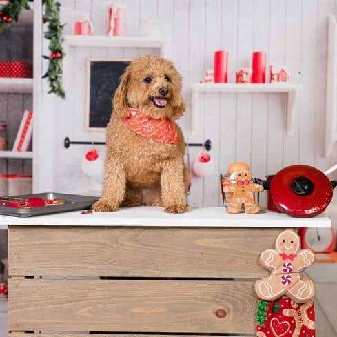 BibbyBubby - Wholesale Pet Bandana - Dog - Santa Paws Dog Bandana (Holiday, Xmas, Christmas)2