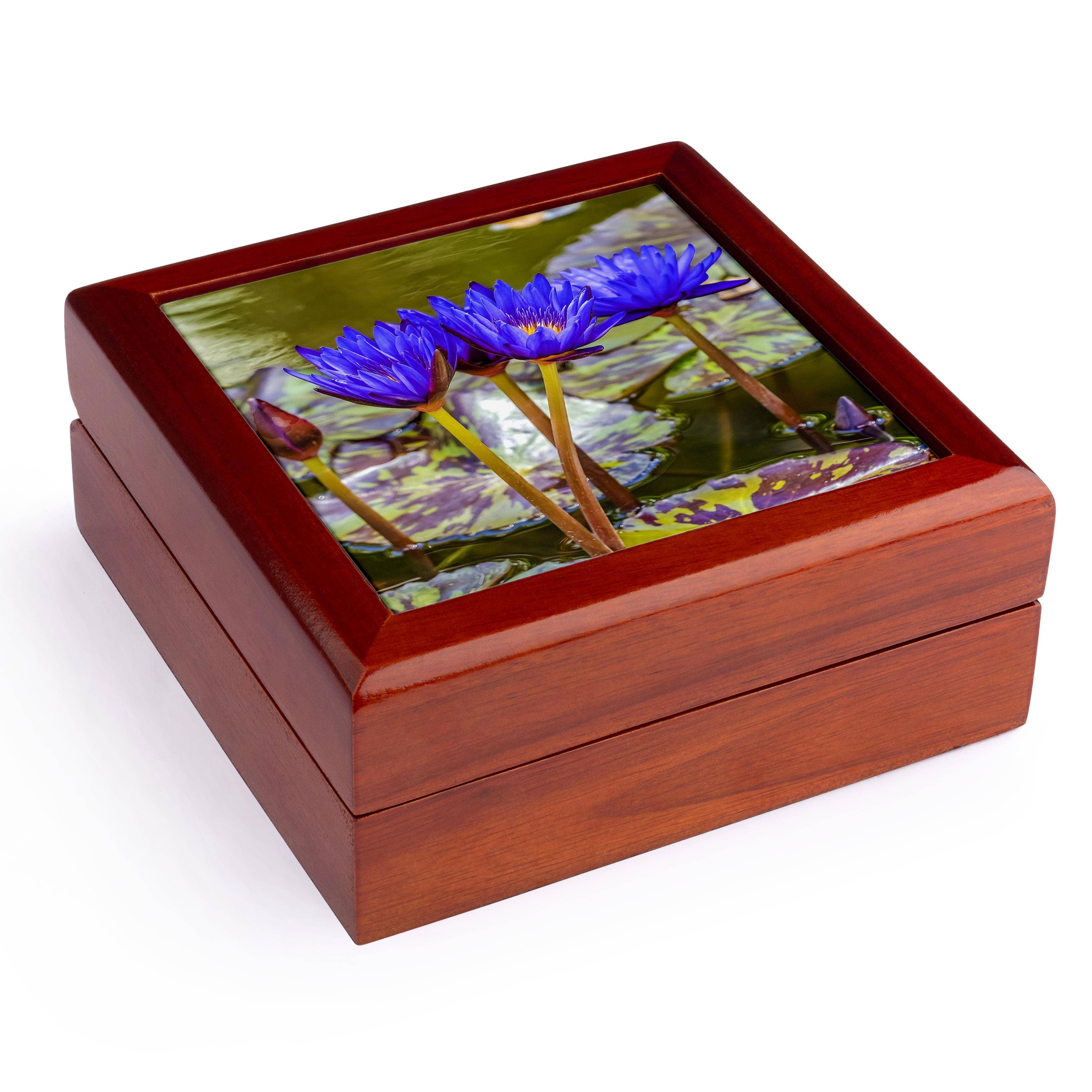 3dRose – wholesale Jewellery box/organiser – 3dRose, Blue flower Nymphaea King, Botanic Garden, Coral Gables, Florida., Jewelry Box0