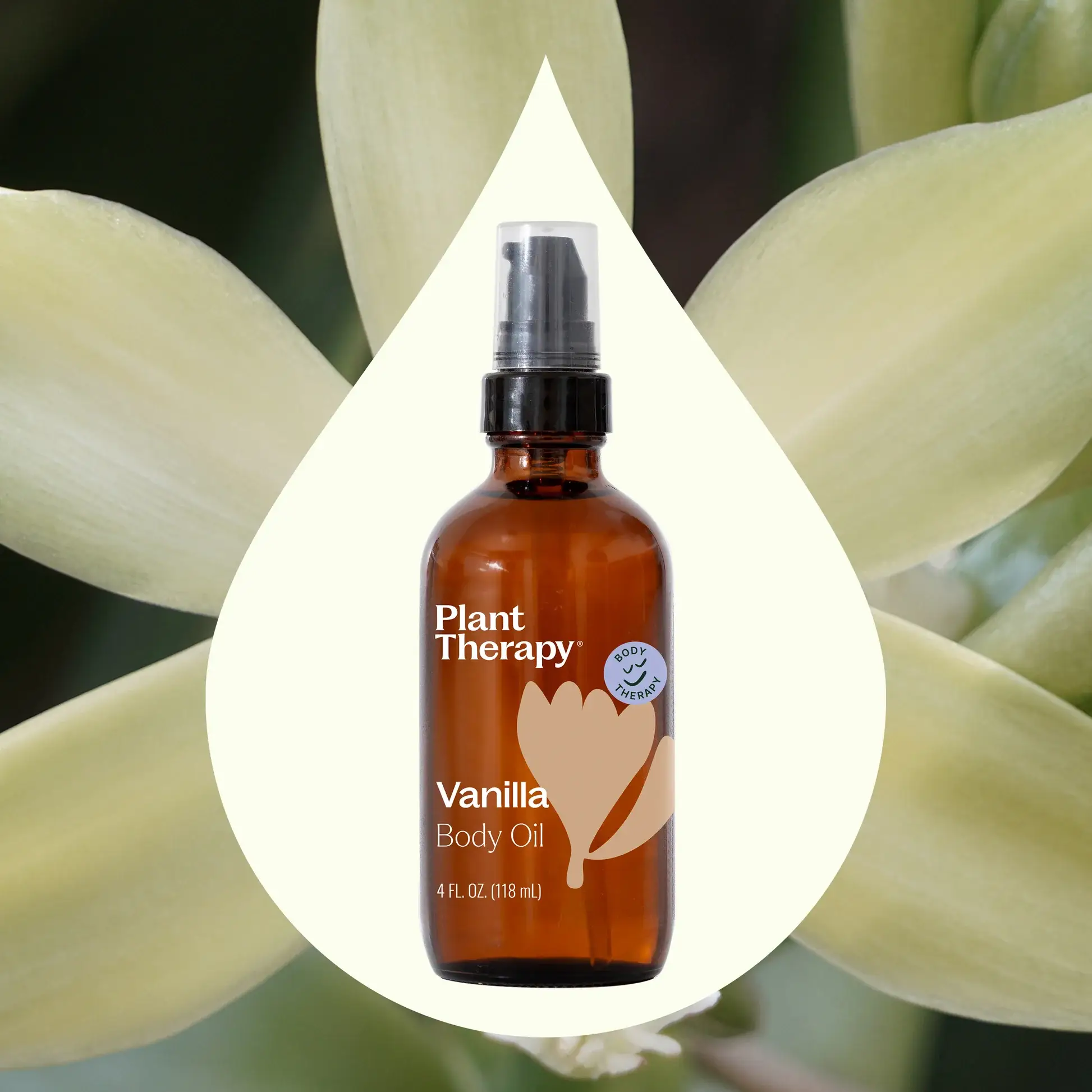 Plant Therapy - Wholesale Bath/Body Oil - Vanilla Body Oil 4 oz3