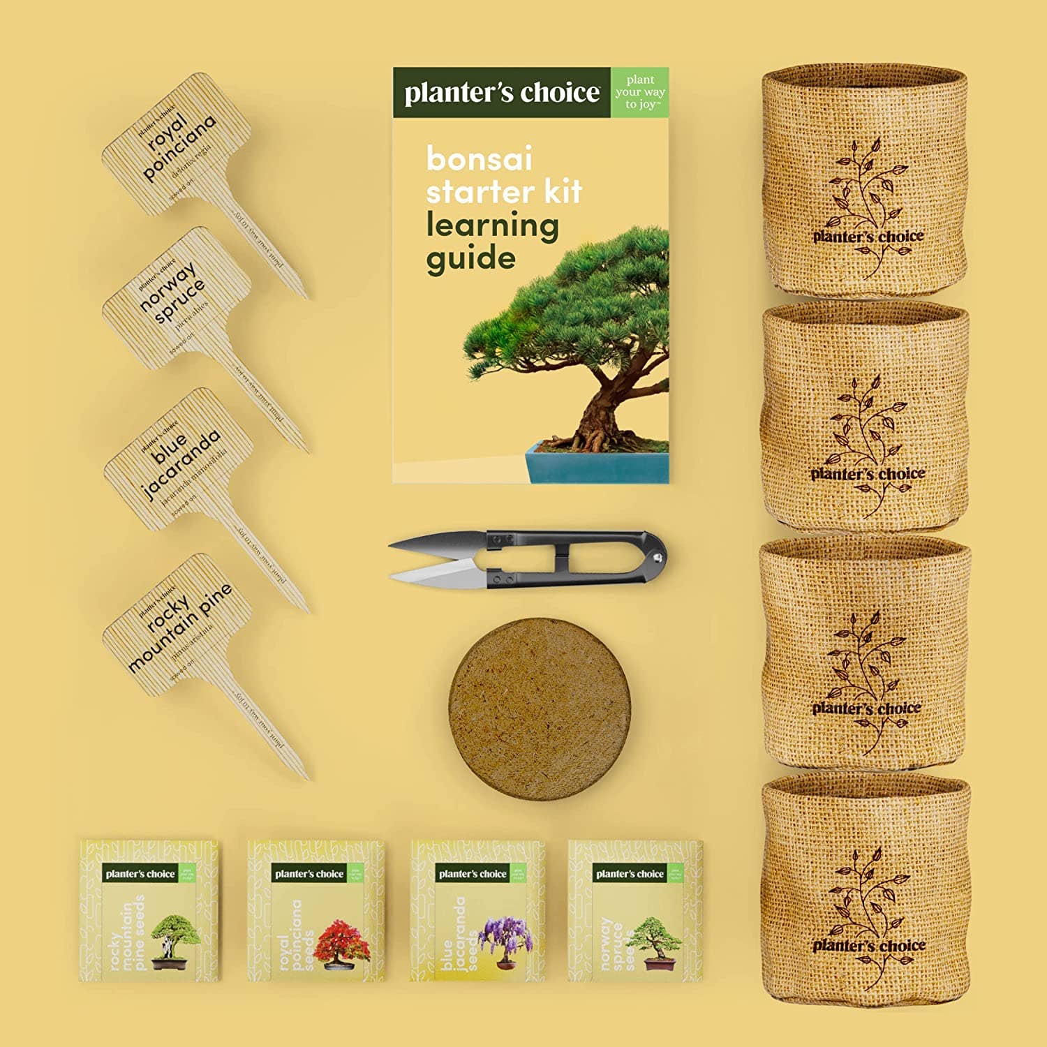 Planter's Choice - Wholesale DIY Craft Kit - Bonsai Starter Kit5
