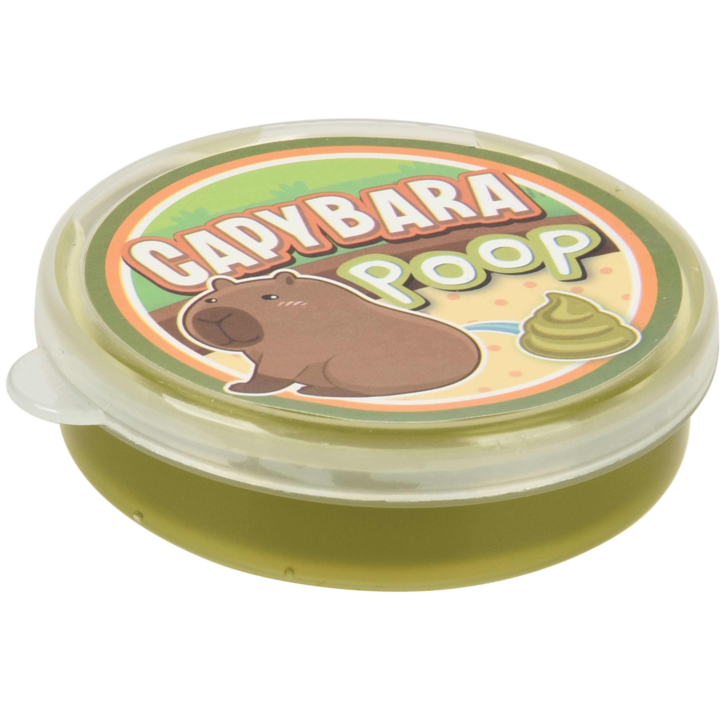 US Toy Company - Wholesale Putty/Slime - Kids - Capybara Poo Silly Putty 12-Unit Display3