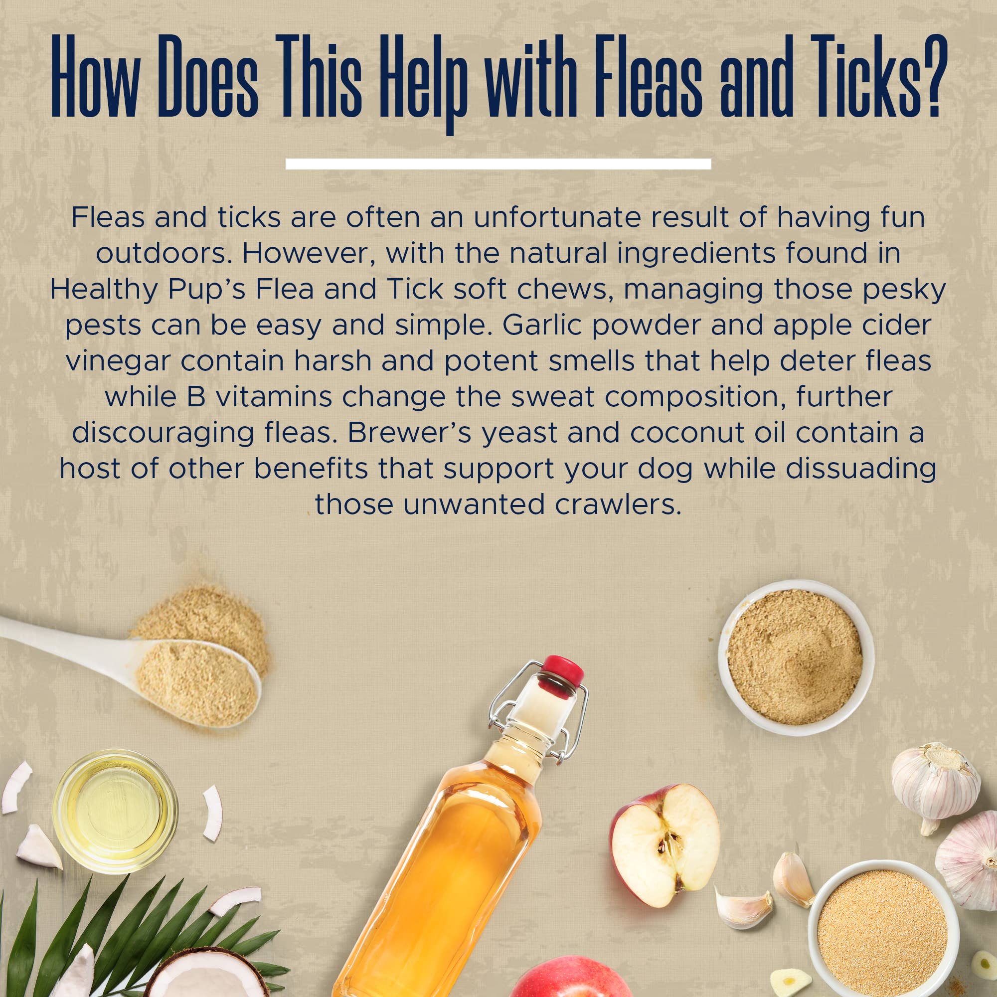 Chew + Heal - Wholesale Pet Supplement - Dog - PB Flavored Flea & Tick Soft Chews for Dogs5