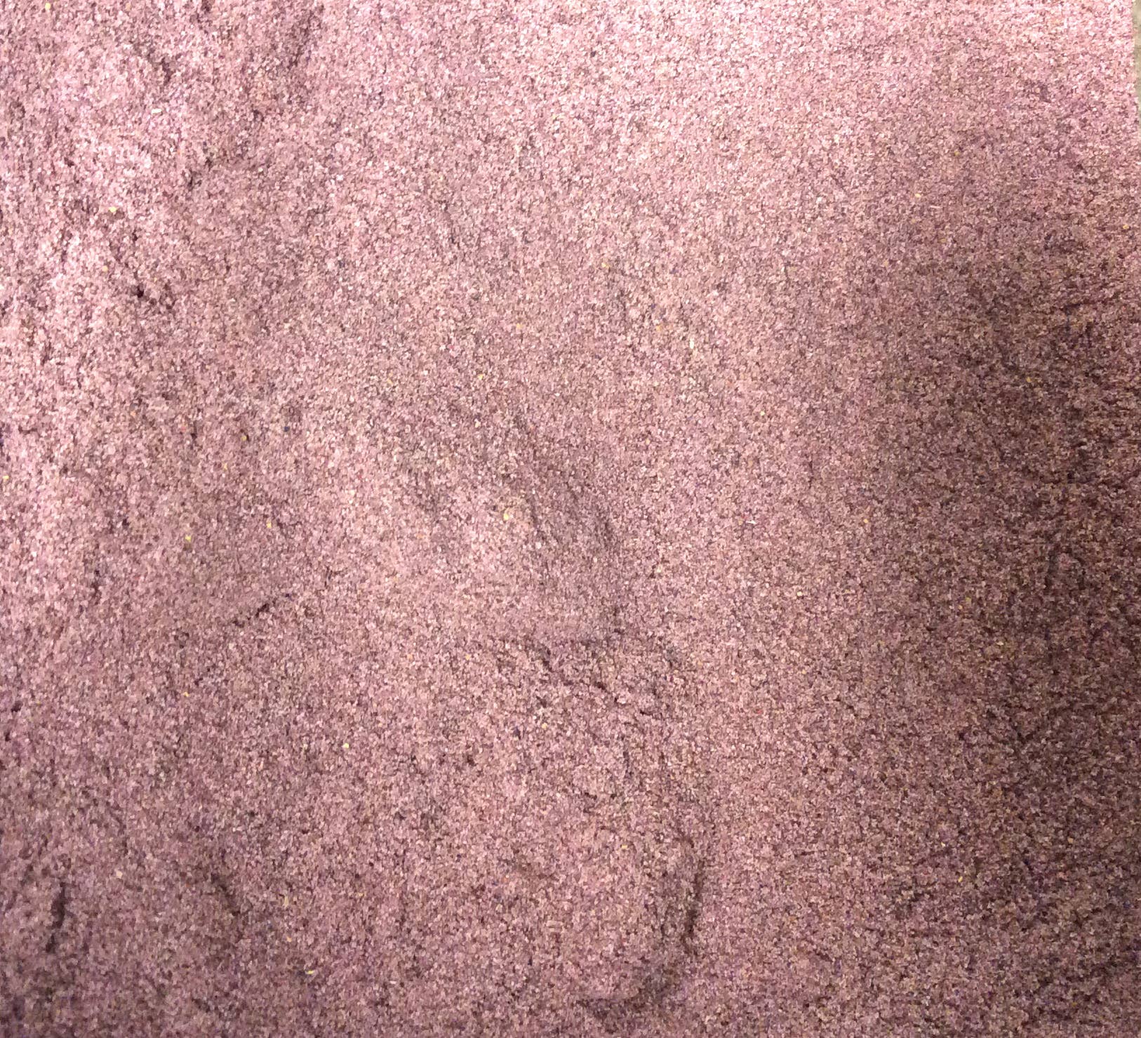 Pure Suds Co - Wholesale Protein/Superfood Powder - Bilberry Fruit Powder, Wild Crafted