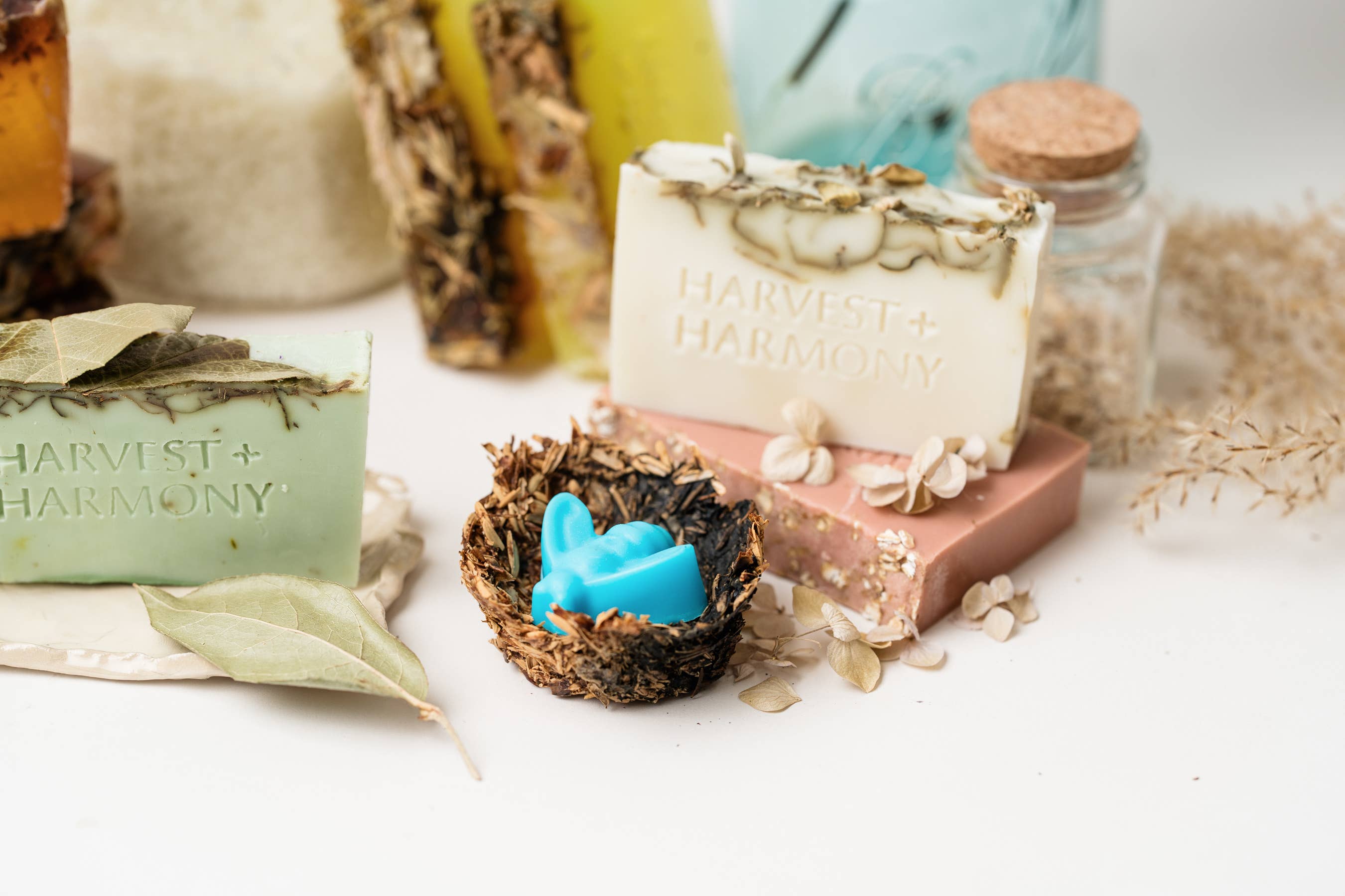 Harvest + Harmony - Wholesale Bar Soap - Harvest + Harmony 4 pc Variety Pack, Goat Milk Soap