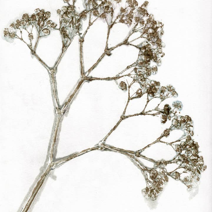 Pernille Folcarelli USA - Wholesale Art Print - Gypso Khaki A5