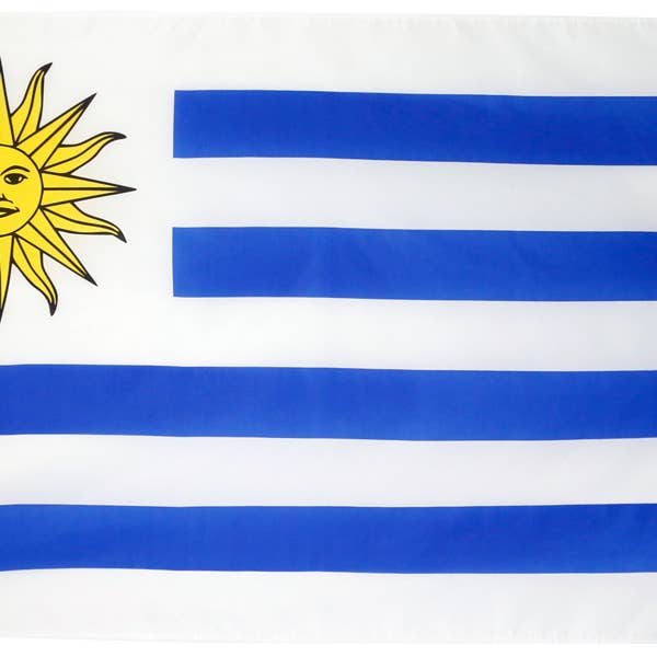 Fantasia Inc. - Wholesale Flag - 3 ft x 5 ft Polyester Country Flags29