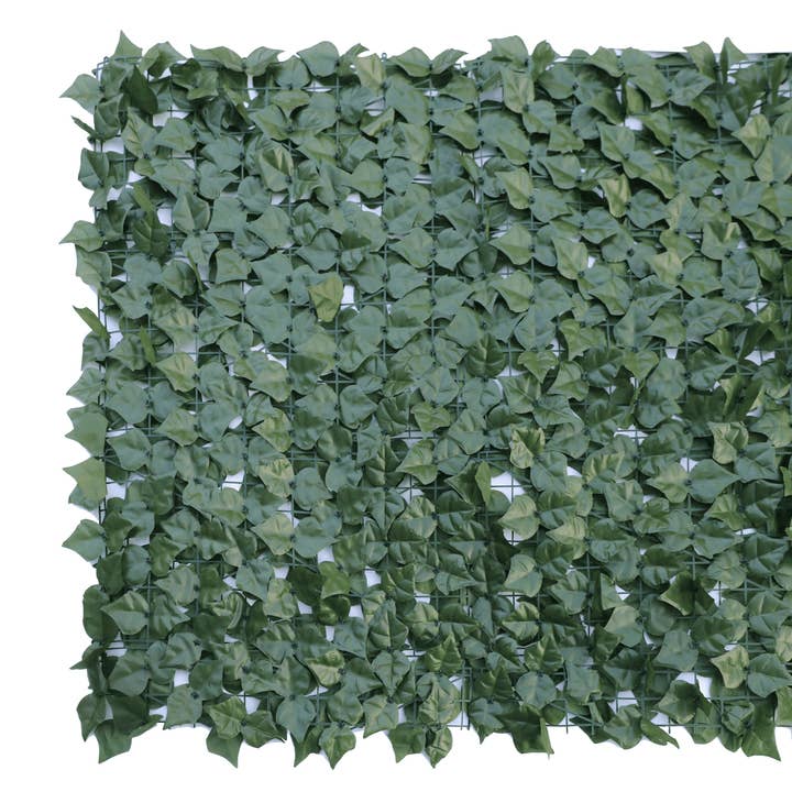 Rouleaux de lierre double face 3m x 1m pour la vente par Designer Plants AU
