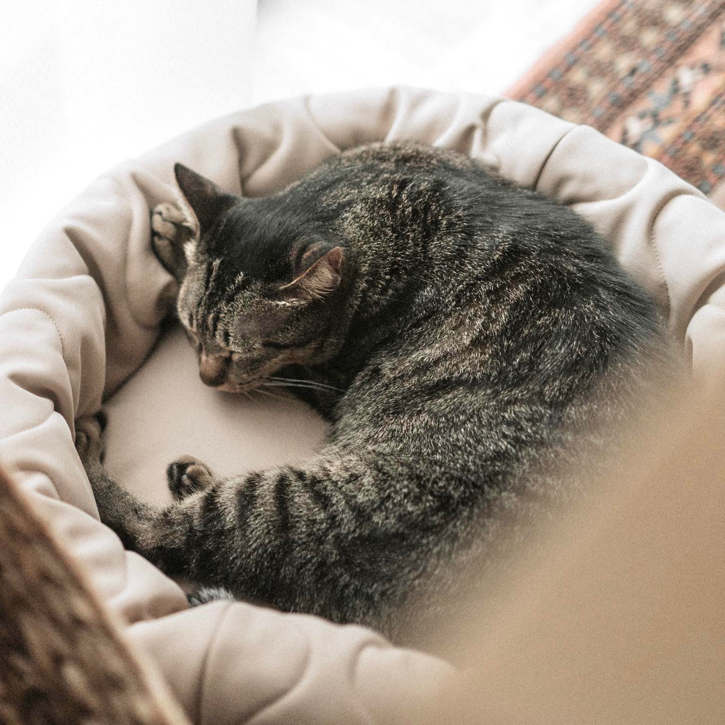 Lambwolf Collective – Engroshandel Seng - Hund – TAART hundeseng med bølget quiltmønster og vendbar side7