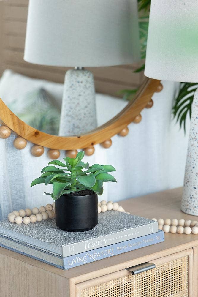 A&B Home Group Inc. – wholesale Artificial plant – Potted Succulent10