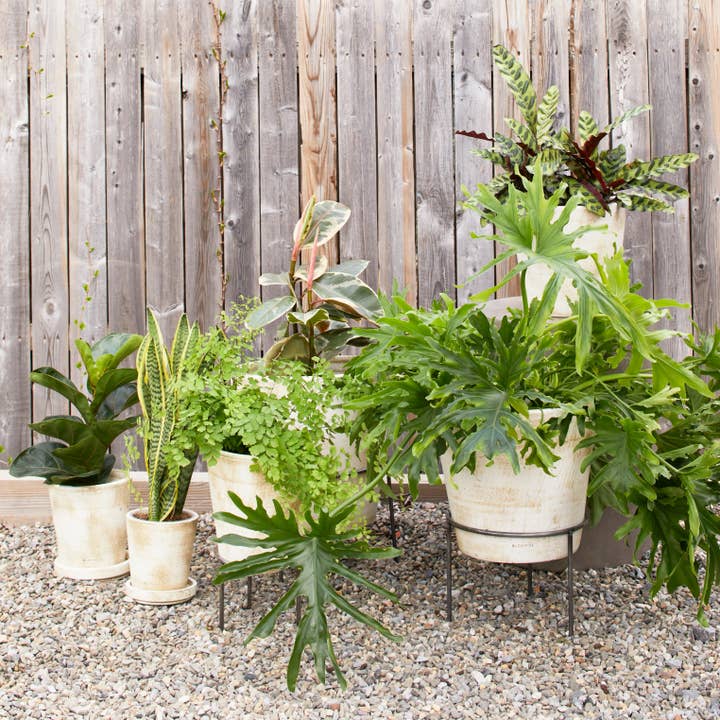 Bloomist - Wholesale Plant Pot Stand - Wrought Iron Planter Stand