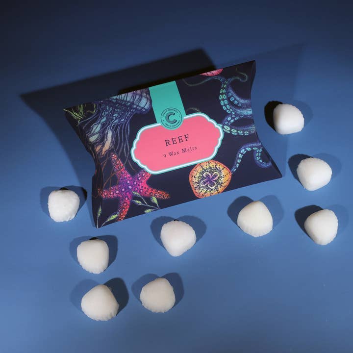 Box Of Nine Reef Wax Melts for wholesale by Cream Cornwall
