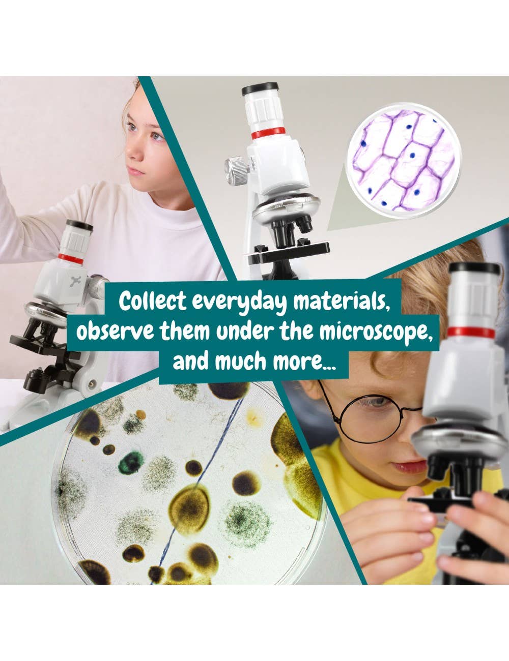 Science4you - Wholesale Toy Set - Kids - Microscope III for Children - Toy for Kids (in 7 languages)5