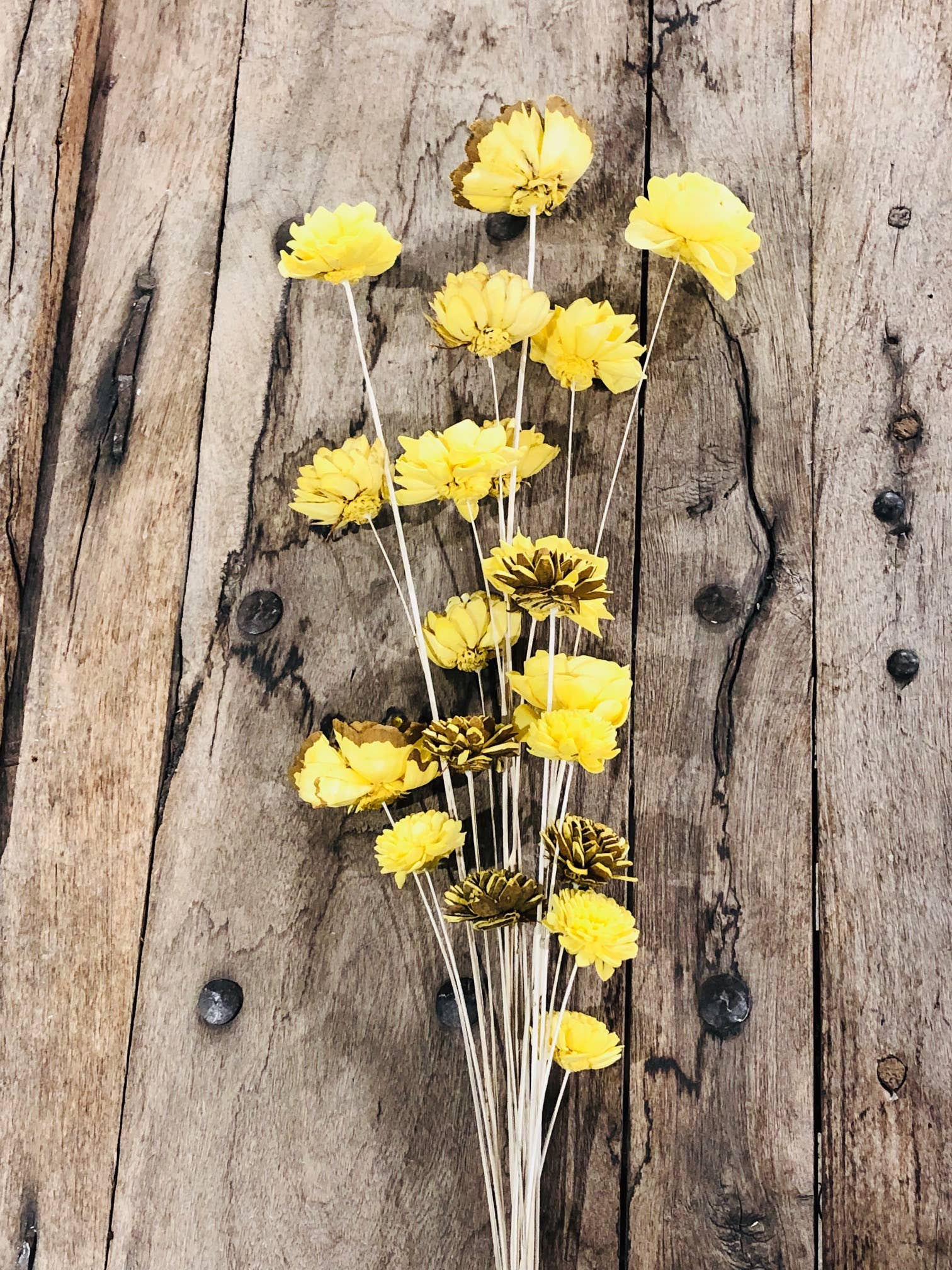 Wilco Home – Großhandel Künstliche Blumen – 20 gemischte Thanksgiving-Blumenzweige4