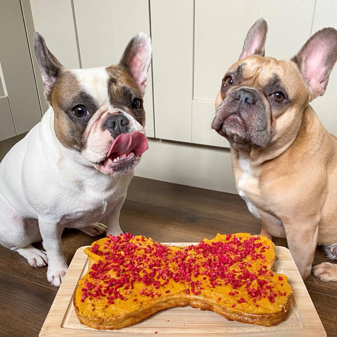 Dog & Bond – Award-Winning Pet Gifts & Dog Treat Kits – wholesale Pet treats – Dog – DELUXE DOG CAKE BAKING KIT2