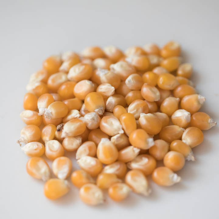 Amish Country Popcorn - Wholesale Popcorn - 25lb. Bag of Mushroom Popcorn