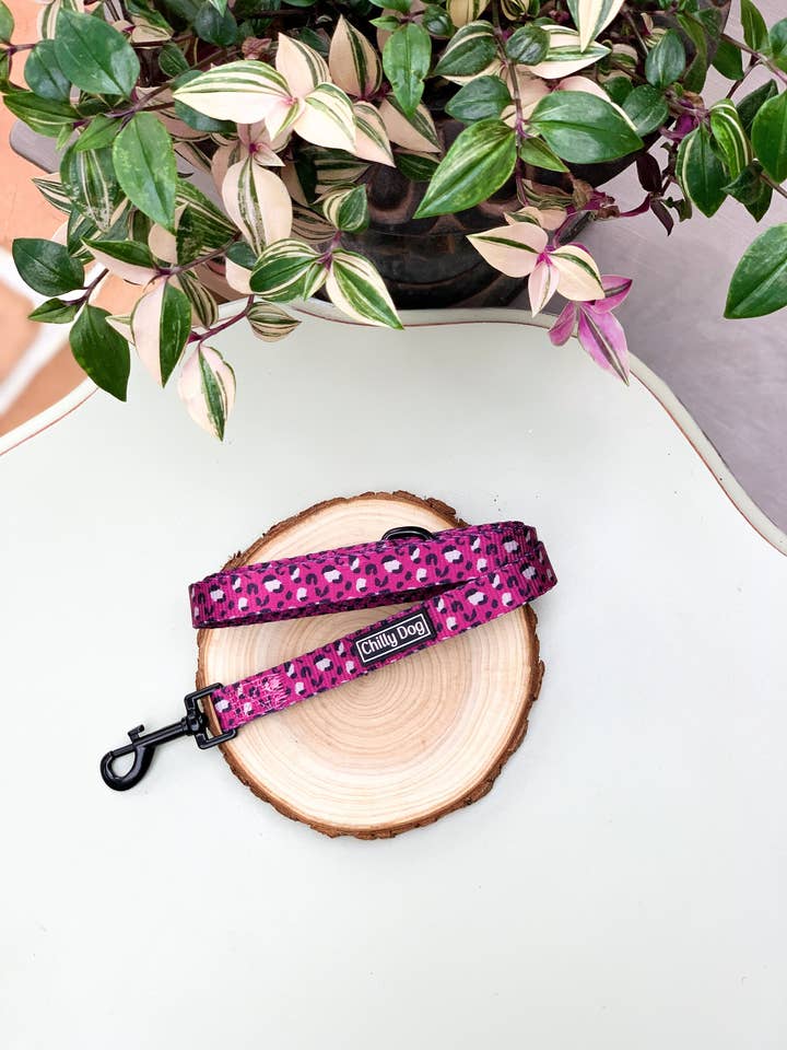 Pink Leopard Print Winter Jewel Puppy Dog Lead for wholesale by Chilly Dog